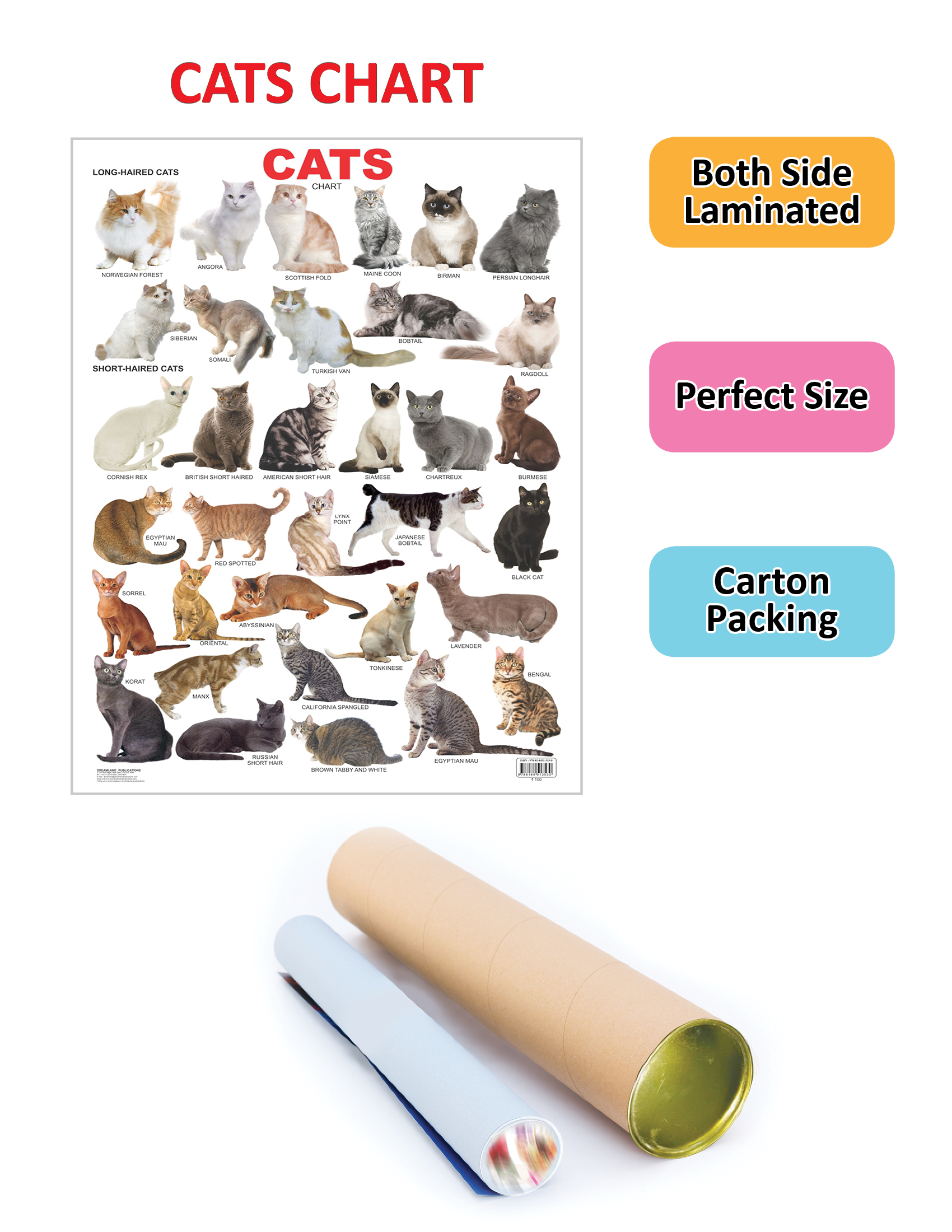 Cat Chart - Image 2
