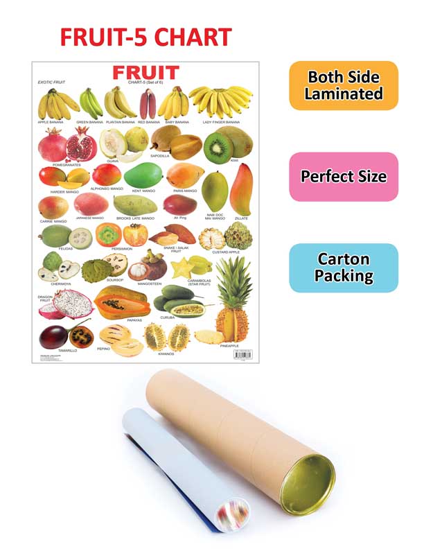 Fruit Chart - 5 - Image 2