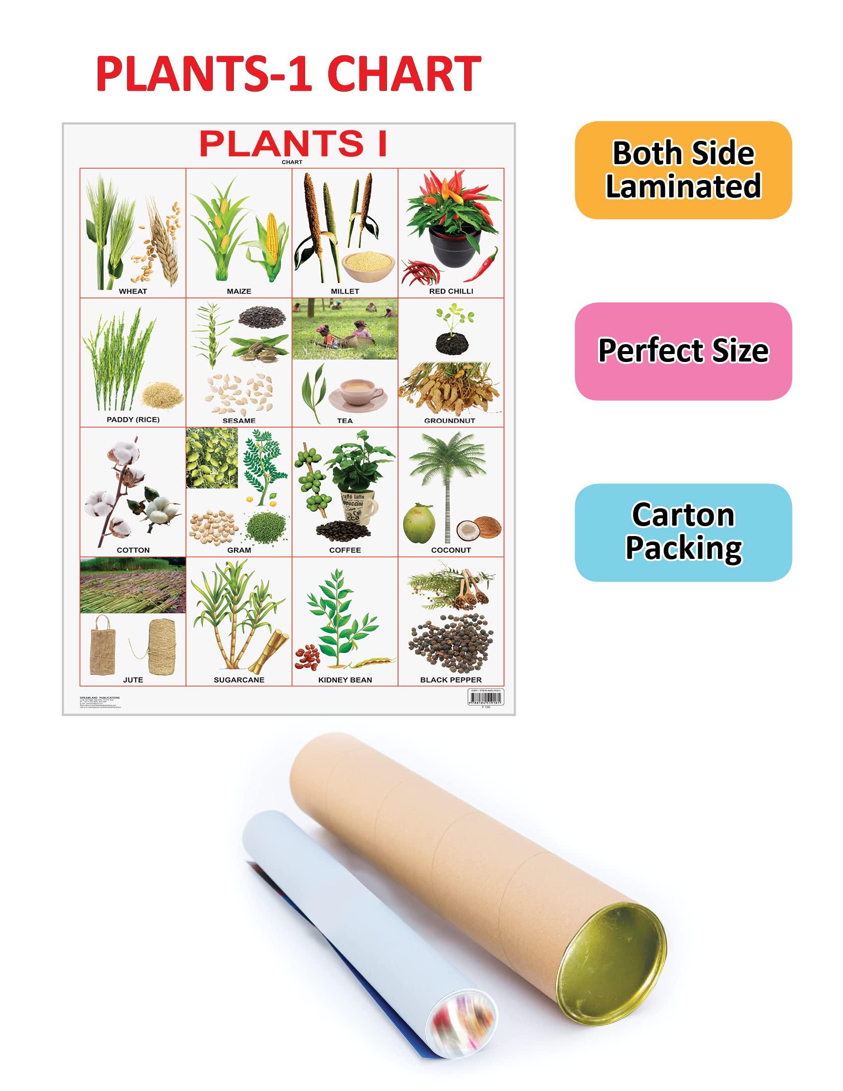 Plants Chart - Image 2