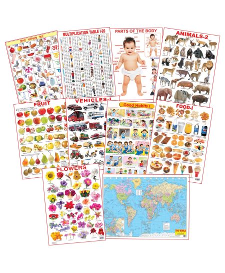 Dreamland Educational Charts - Combo 5 (10 Charts)