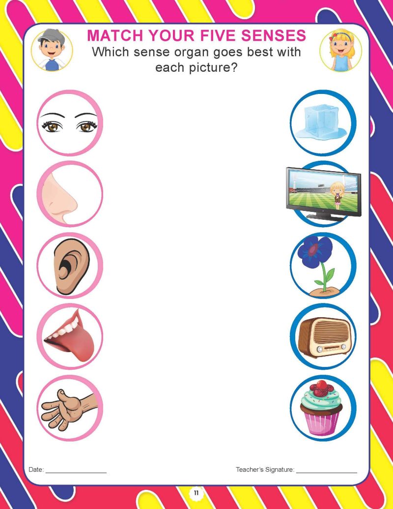 Pre-Nursery EVS - Image 4
