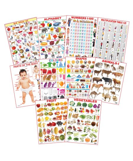 Dreamland Educational Charts - Combo 1 (10 Charts)