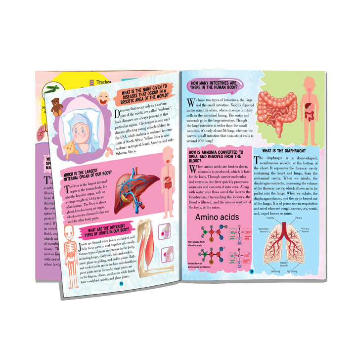 Human Body Encyclopedia for Children Age 5 - 15 Years- All About Trivia Questions and Answers - Image 4