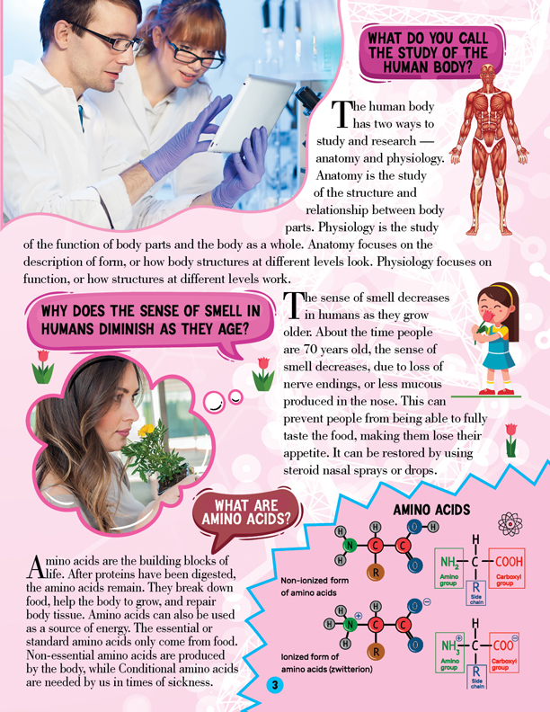 Human Body Encyclopedia for Children Age 5 - 15 Years- All About Trivia Questions and Answers - Image 5
